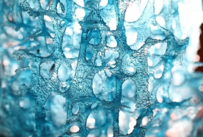 1662644287122778.jpg 229.jpg