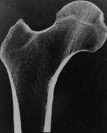 1662644298871134.jpg 230.jpg