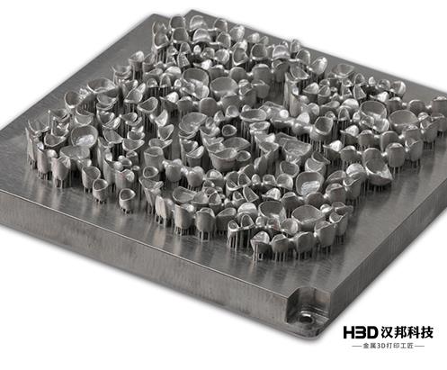 1663034240125514.jpg 19.jpg